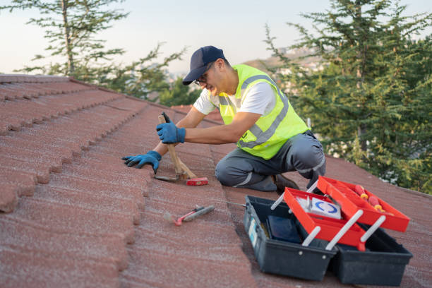 Roof Gutter Cleaning in Sarasota, FL